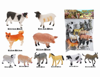 <img src='photo/Z/JZ097232.jpg'width='400' height='300'>