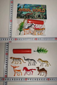 <img src='photo/Z/JZ100087.jpg'width='400' height='300'>