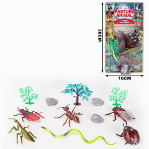 <img src='photo/Z/JZ101055.jpg'width='400' height='300'>