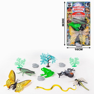 <img src='photo/Z/JZ101056.jpg'width='400' height='300'>