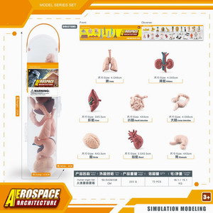 <img src='photo/Z/JZ101207.jpg'width='400' height='300'>