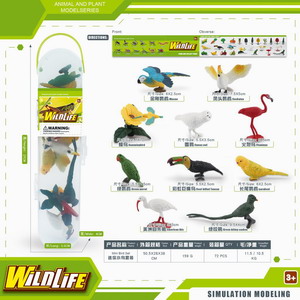 <img src='photo/Z/JZ101237.jpg'width='400' height='300'>