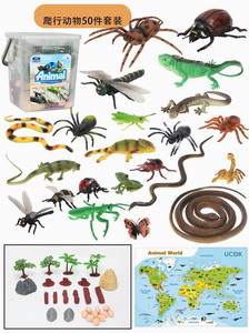 <img src='photo/Z/JZ101372.jpg'width='400' height='300'>