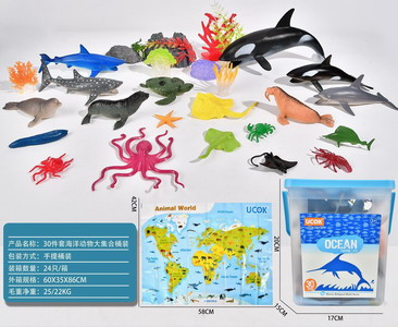 <img src='photo/Z/JZ101378.jpg'width='400' height='300'>