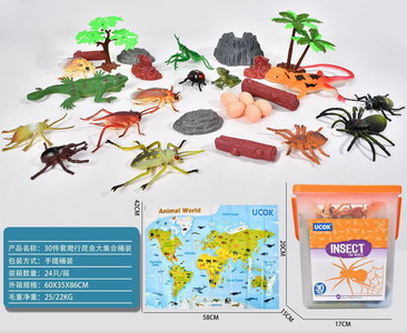 <img src='photo/Z/JZ101380.jpg'width='400' height='300'>