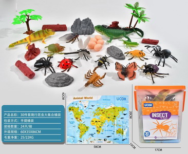 <img src='photo/Z/JZ101381.jpg'width='400' height='300'>