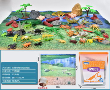 <img src='photo/Z/JZ101386.jpg'width='400' height='300'>