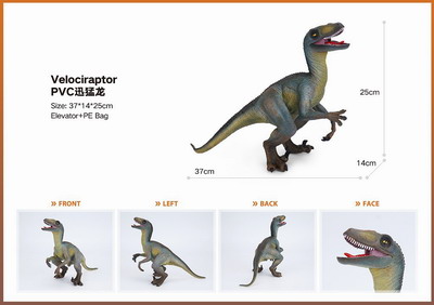 <img src='photo/Z/JZ101418.jpg'width='400' height='300'>