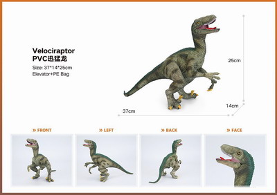 <img src='photo/Z/JZ101419.jpg'width='400' height='300'>