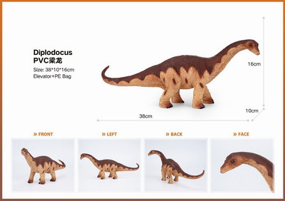 <img src='photo/Z/JZ101421.jpg'width='400' height='300'>