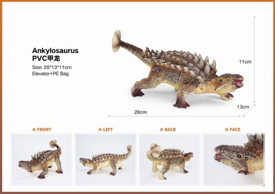 <img src='photo/Z/JZ101425.jpg'width='400' height='300'>