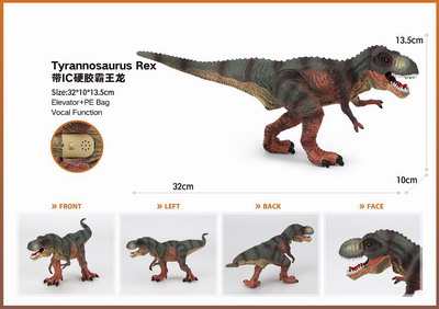 <img src='photo/Z/JZ101428.jpg'width='400' height='300'>