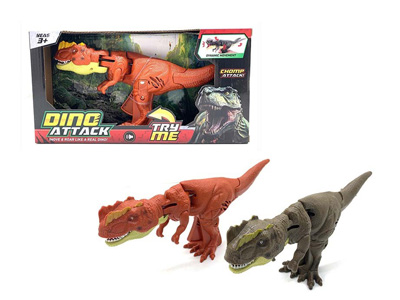 <img src='photo/Z/JZ122077.jpg'width='400' height='300'>