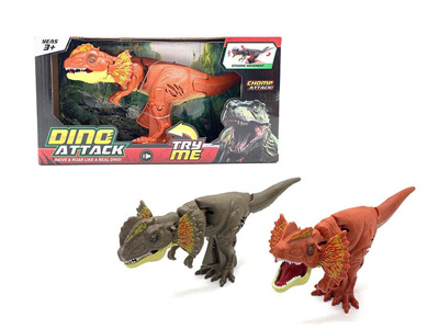 <img src='photo/Z/JZ122078.jpg'width='400' height='300'>