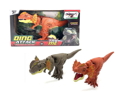 <img src='photo/Z/JZ122079.jpg'width='400' height='300'>