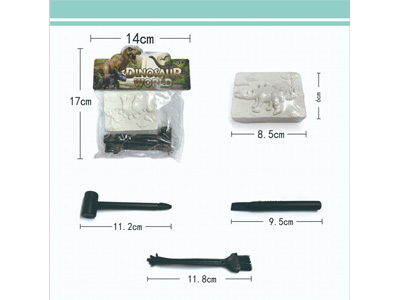 <img src='photo/Z/JZ122096.jpg'width='400' height='300'>