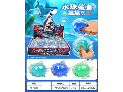 <img src='photo/Z/JZ122869.jpg'width='400' height='300'>