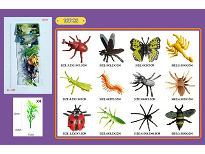 <img src='photo/Z/JZ123067.jpg'width='400' height='300'>