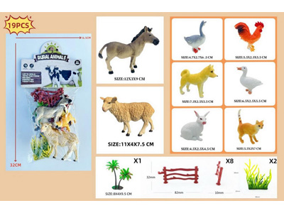 <img src='photo/Z/JZ123081.jpg'width='400' height='300'>