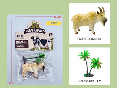 <img src='photo/Z/JZ123084.jpg'width='400' height='300'>