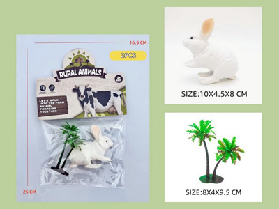 <img src='photo/Z/JZ123085.jpg'width='400' height='300'>