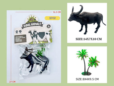 <img src='photo/Z/JZ123090.jpg'width='400' height='300'>