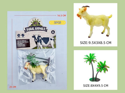 <img src='photo/Z/JZ123091.jpg'width='400' height='300'>