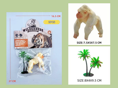 <img src='photo/Z/JZ123098.jpg'width='400' height='300'>