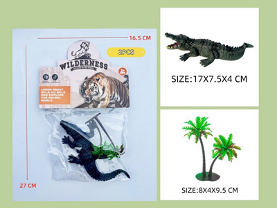 <img src='photo/Z/JZ123106.jpg'width='400' height='300'>