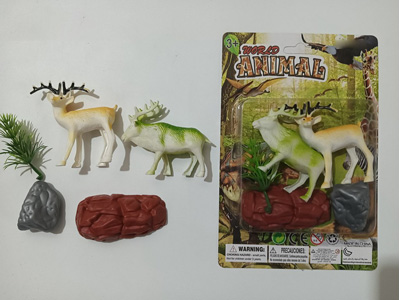 <img src='photo/Z/JZ123167.jpg'width='400' height='300'>