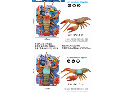 <img src='photo/Z/JZ123405.jpg'width='400' height='300'>