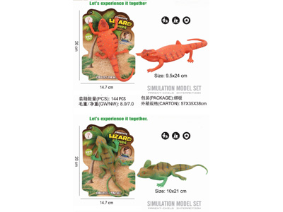 <img src='photo/Z/JZ123406.jpg'width='400' height='300'>