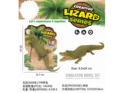 <img src='photo/Z/JZ123412.jpg'width='400' height='300'>