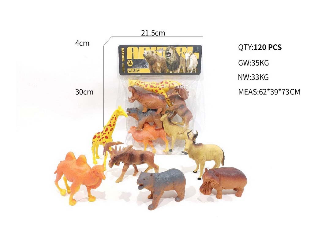 <img src='photo/Z/JZ123470.jpg'width='400' height='300'>