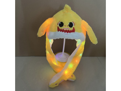 <img src='photo/Z/JZ123538.jpg'width='400' height='300'>