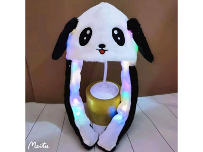 <img src='photo/Z/JZ123558.jpg'width='400' height='300'>