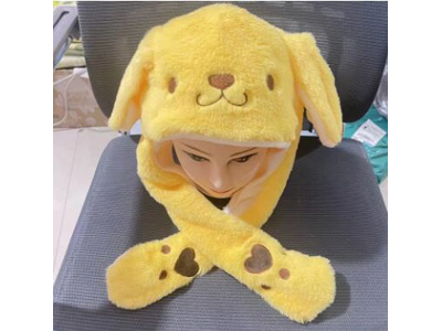 <img src='photo/Z/JZ123566.jpg'width='400' height='300'>