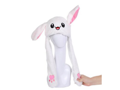 <img src='photo/Z/JZ123569.jpg'width='400' height='300'>