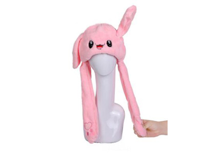 <img src='photo/Z/JZ123570.jpg'width='400' height='300'>