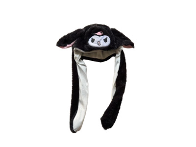 <img src='photo/Z/JZ123577.jpg'width='400' height='300'>