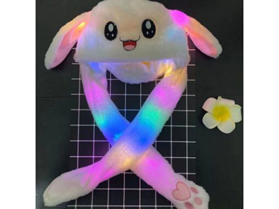 <img src='photo/Z/JZ123582.jpg'width='400' height='300'>