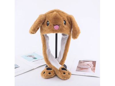 <img src='photo/Z/JZ123618.jpg'width='400' height='300'>