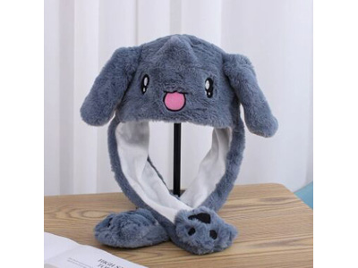 <img src='photo/Z/JZ123646.jpg'width='400' height='300'>