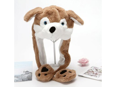 <img src='photo/Z/JZ123649.jpg'width='400' height='300'>