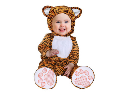 <img src='photo/Z/JZ123661.jpg'width='400' height='300'>