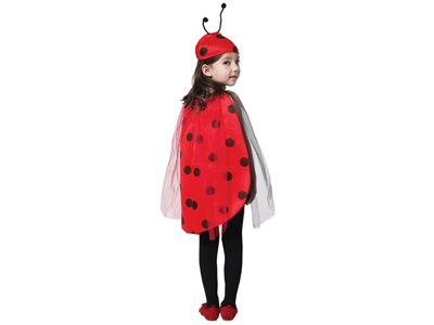 <img src='photo/Z/JZ123678.jpg'width='400' height='300'>