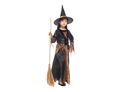 <img src='photo/Z/JZ123751.jpg'width='400' height='300'>