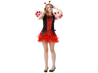 <img src='photo/Z/JZ123859.jpg'width='400' height='300'>