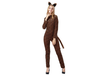 <img src='photo/Z/JZ123860.jpg'width='400' height='300'>