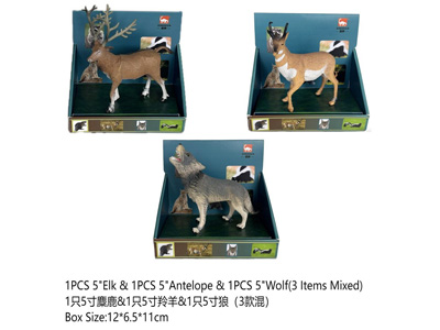 <img src='photo/Z/JZ124496.jpg'width='400' height='300'>